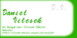 daniel vilcsek business card
